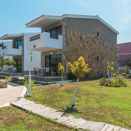 Mirage Arillas Type A8